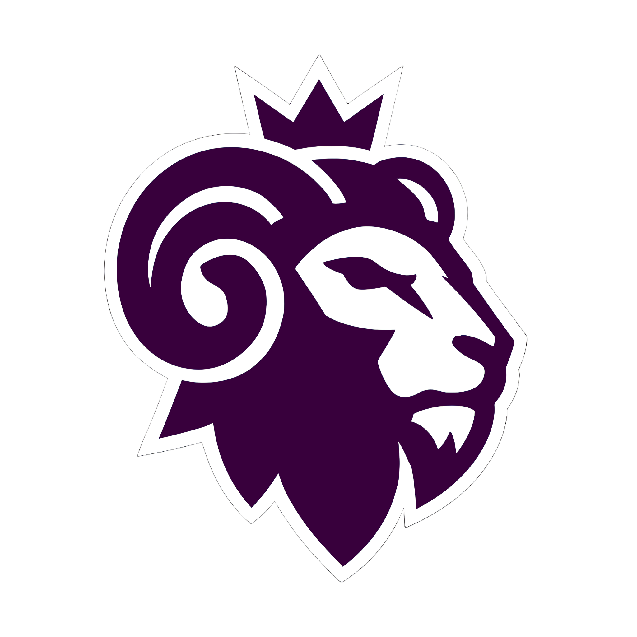 Zak Pro Logo